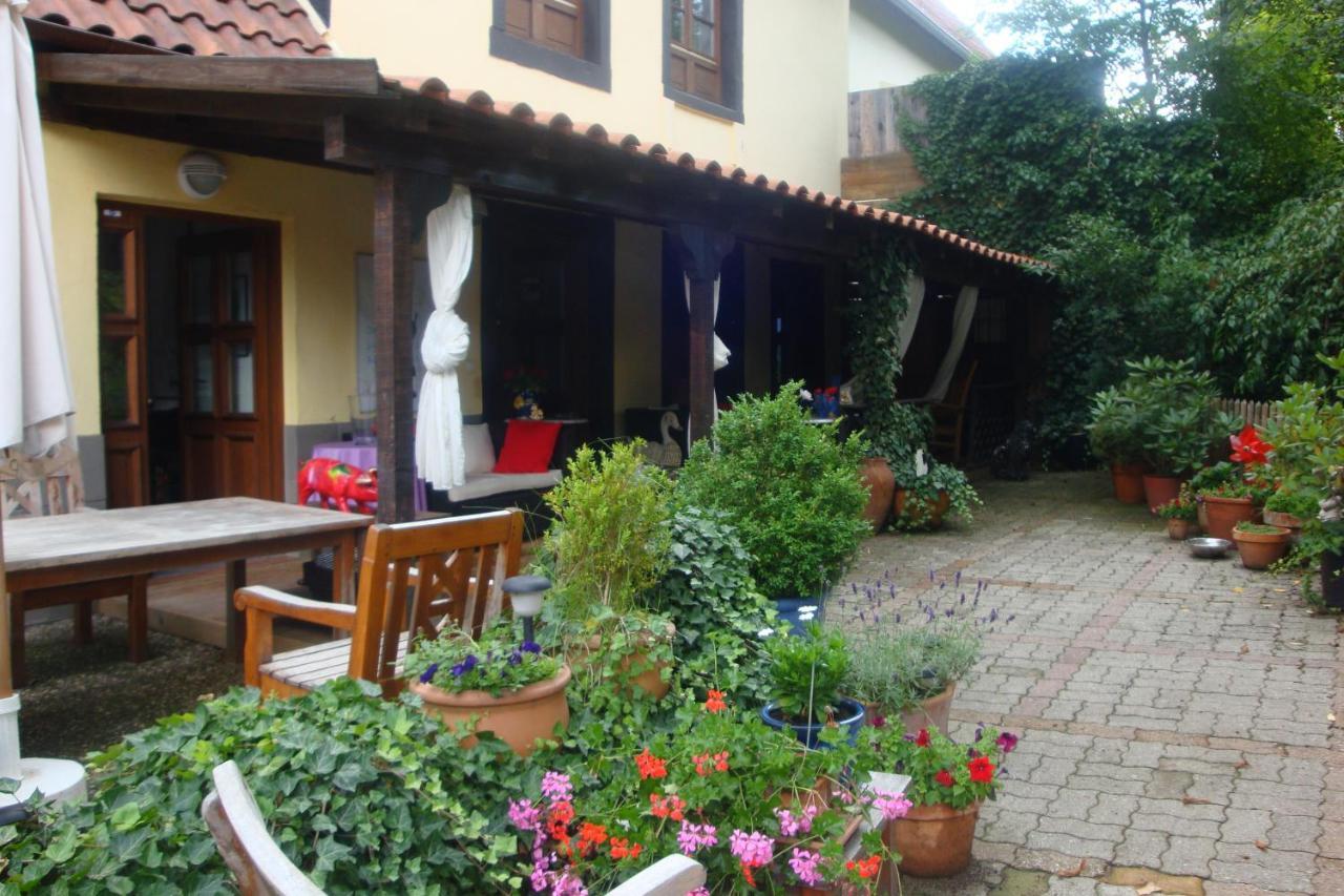 Apartement De Vacances Alsace - Ferienwohnung Elsass - Holiday Apartment Alsace Bischwiller Exterior foto